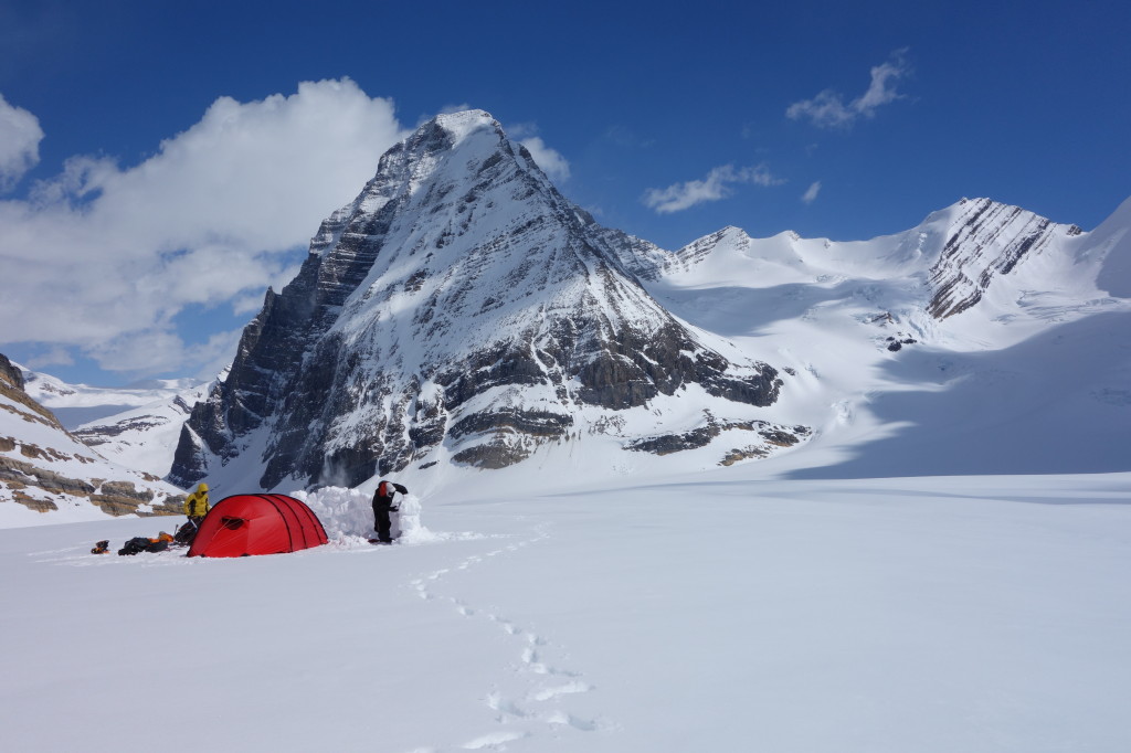 Camping Below Mount Tusk On The Clemenceau Icefield In British Columbia. 